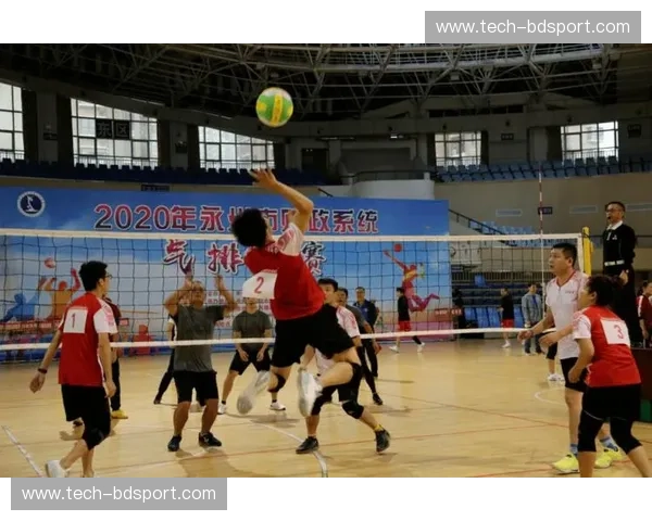 开云体育排球赛程：全景解读与观赛指南